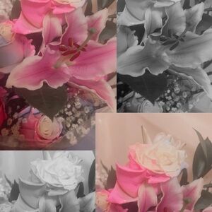 Meet your Posher, Denae